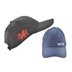 Wales Logo Baseball Cap