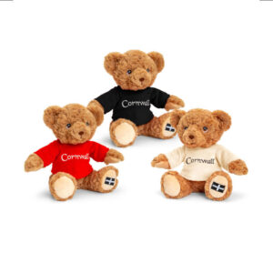 Keeleco Cornwall Eco Bear 18cm